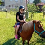 phoca_thumb_m_ponk 31 Fotogalerie
